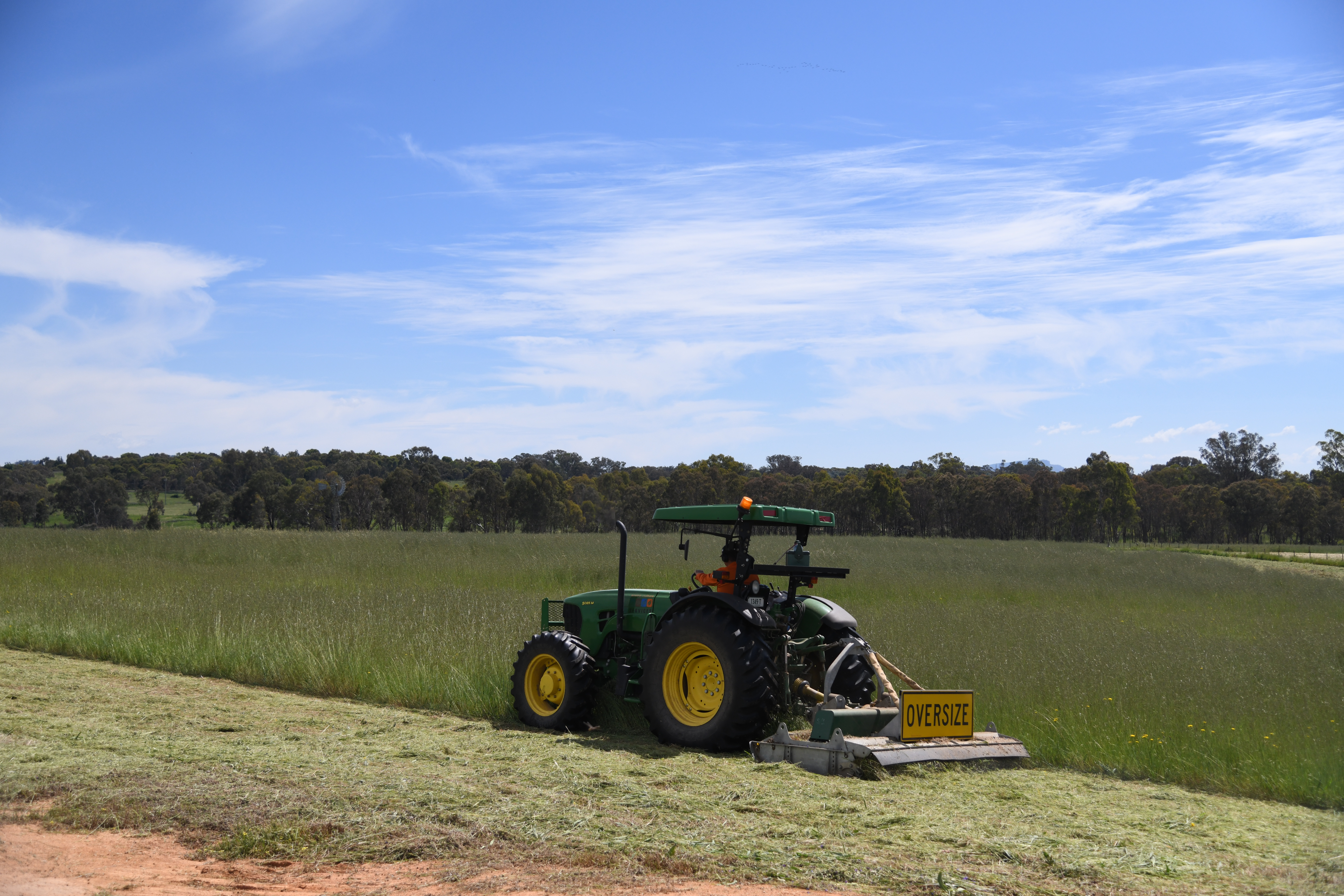 Slashing & Slope Mowing - 1